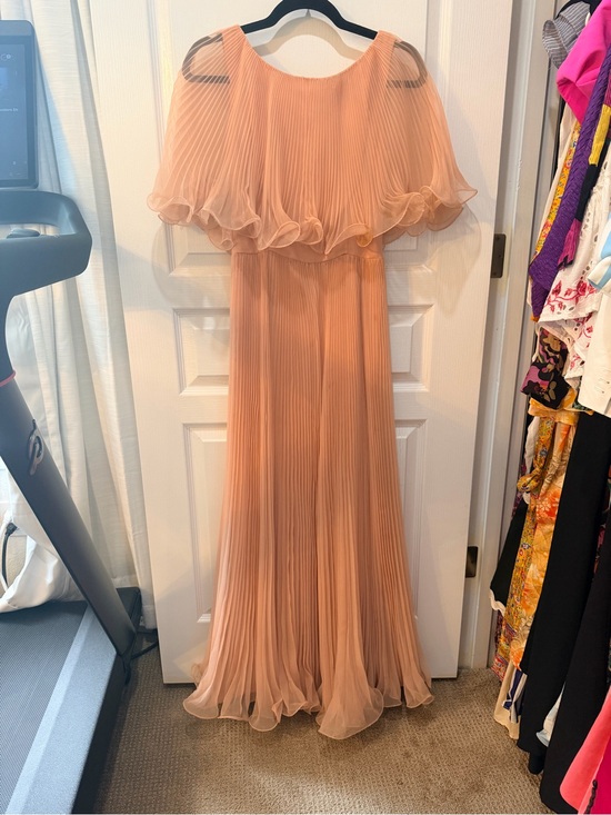 Vintage Dresses & Skirts - Vintage 1960’s Peach Pleated Chiffon Maxi Dress